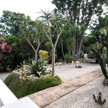 קניסנה South Villa Guesthouse&Garden מראה חיצוני תמונה