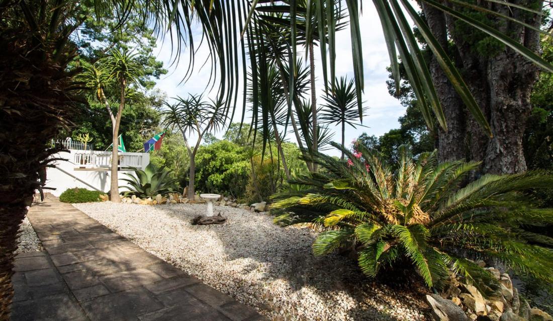 קניסנה South Villa Guesthouse&Garden מראה חיצוני תמונה